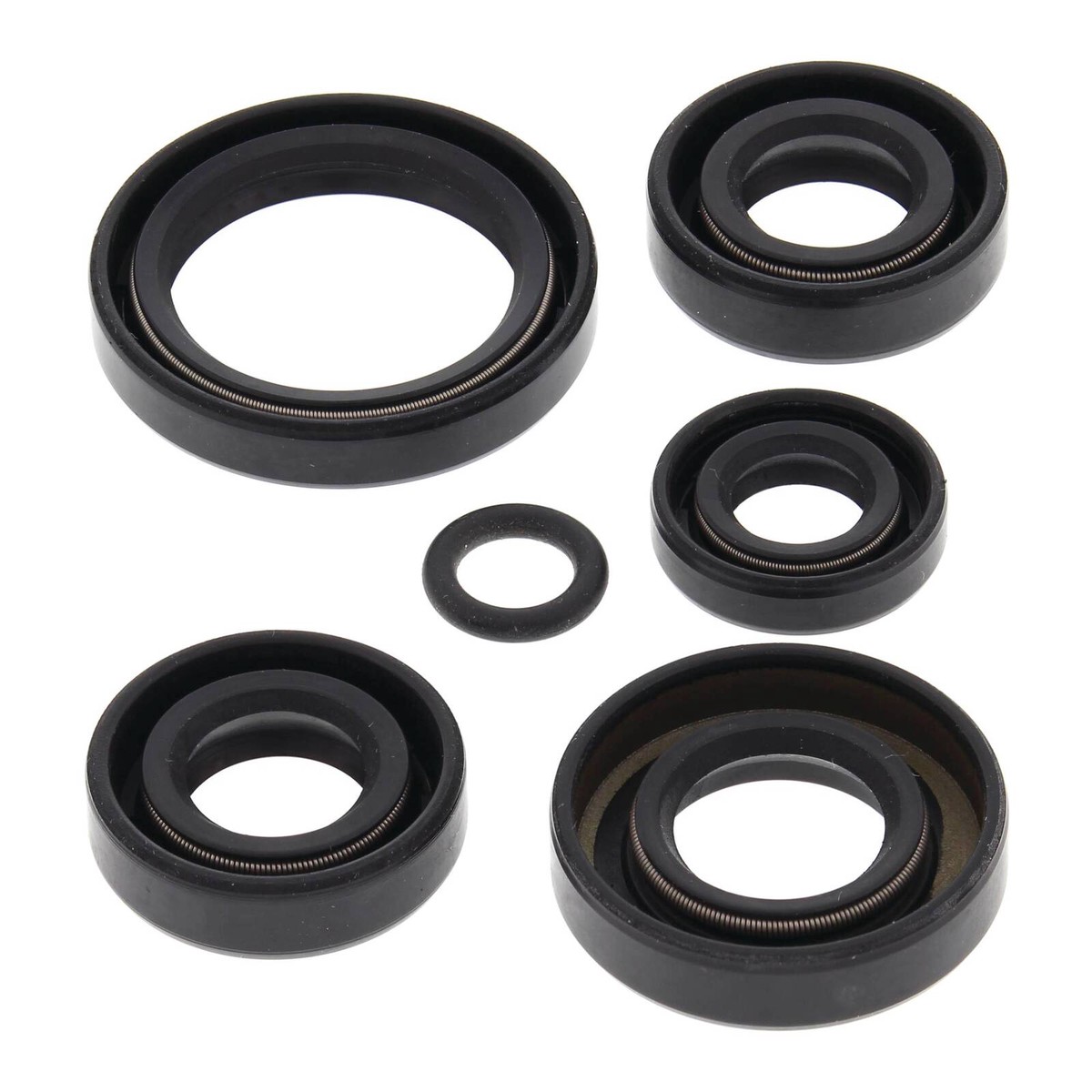 Oil Seal Kit 822242