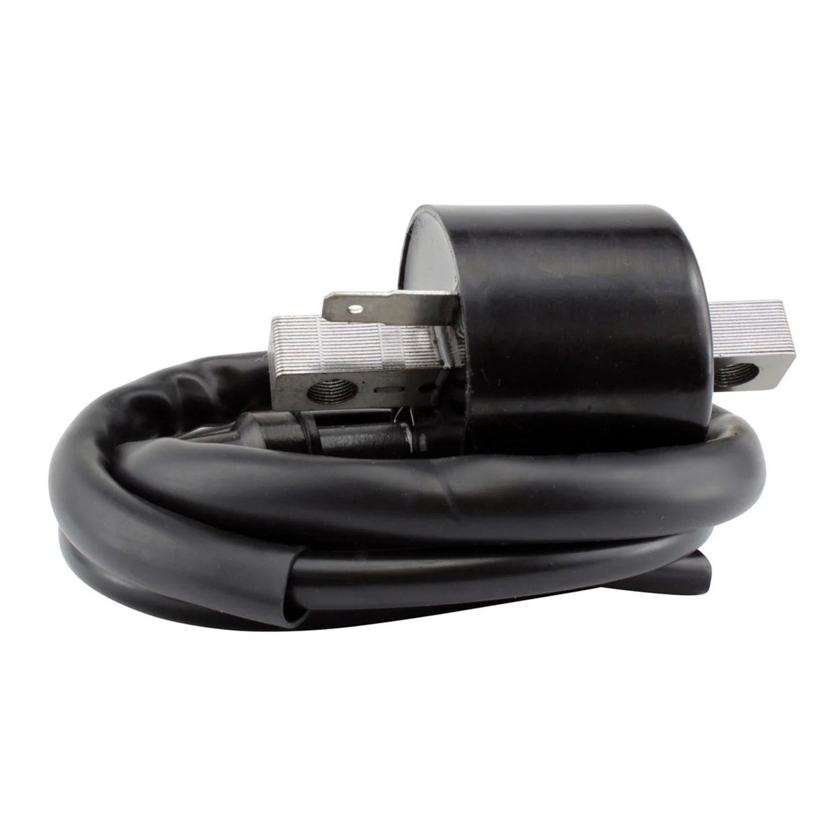 Ignition Coil  Polaris / Honda Models
