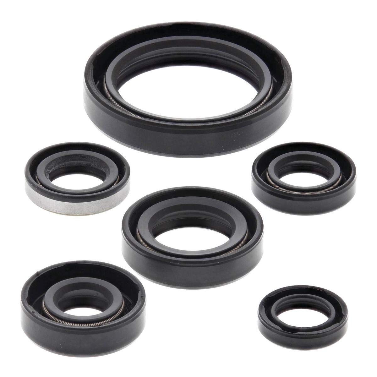Oil Seal Kit 822137
