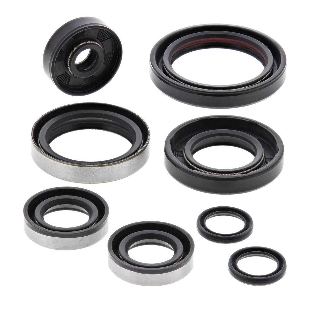 Oil Seal Kit 822264