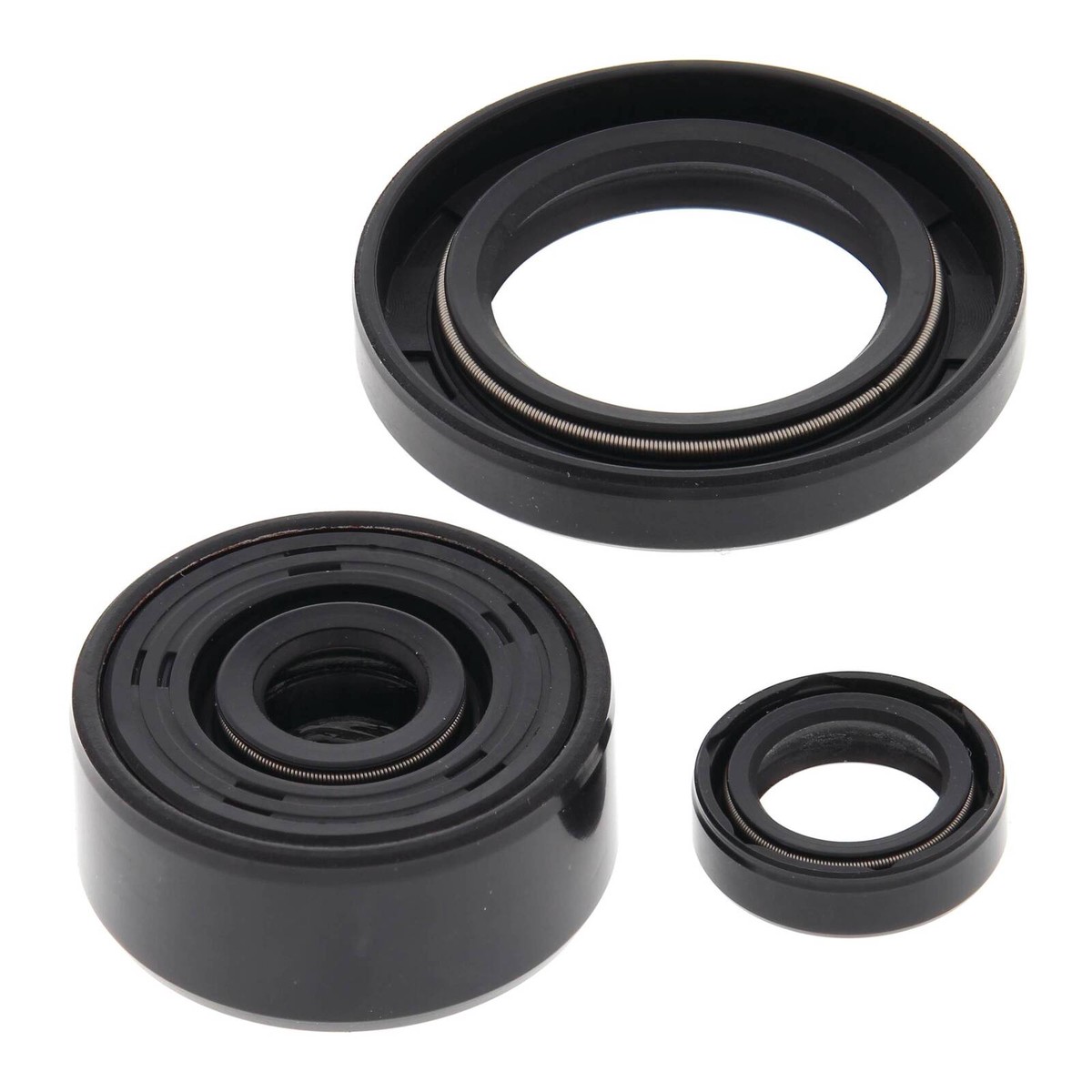 Oil Seal Kit 822339