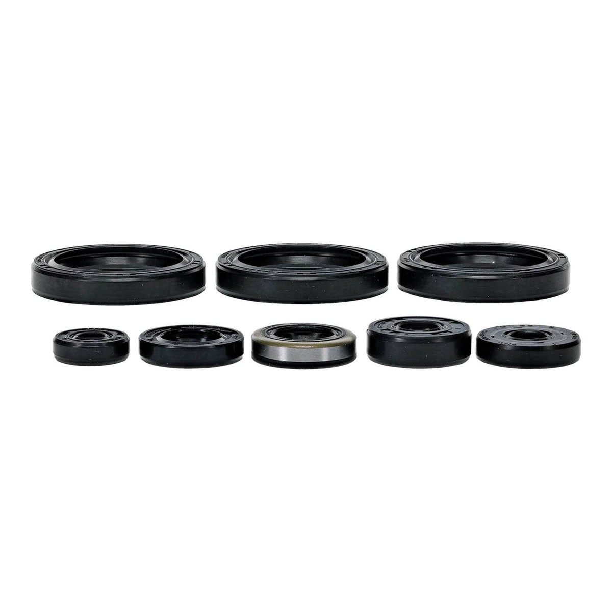 Oil Seal Kit 822403