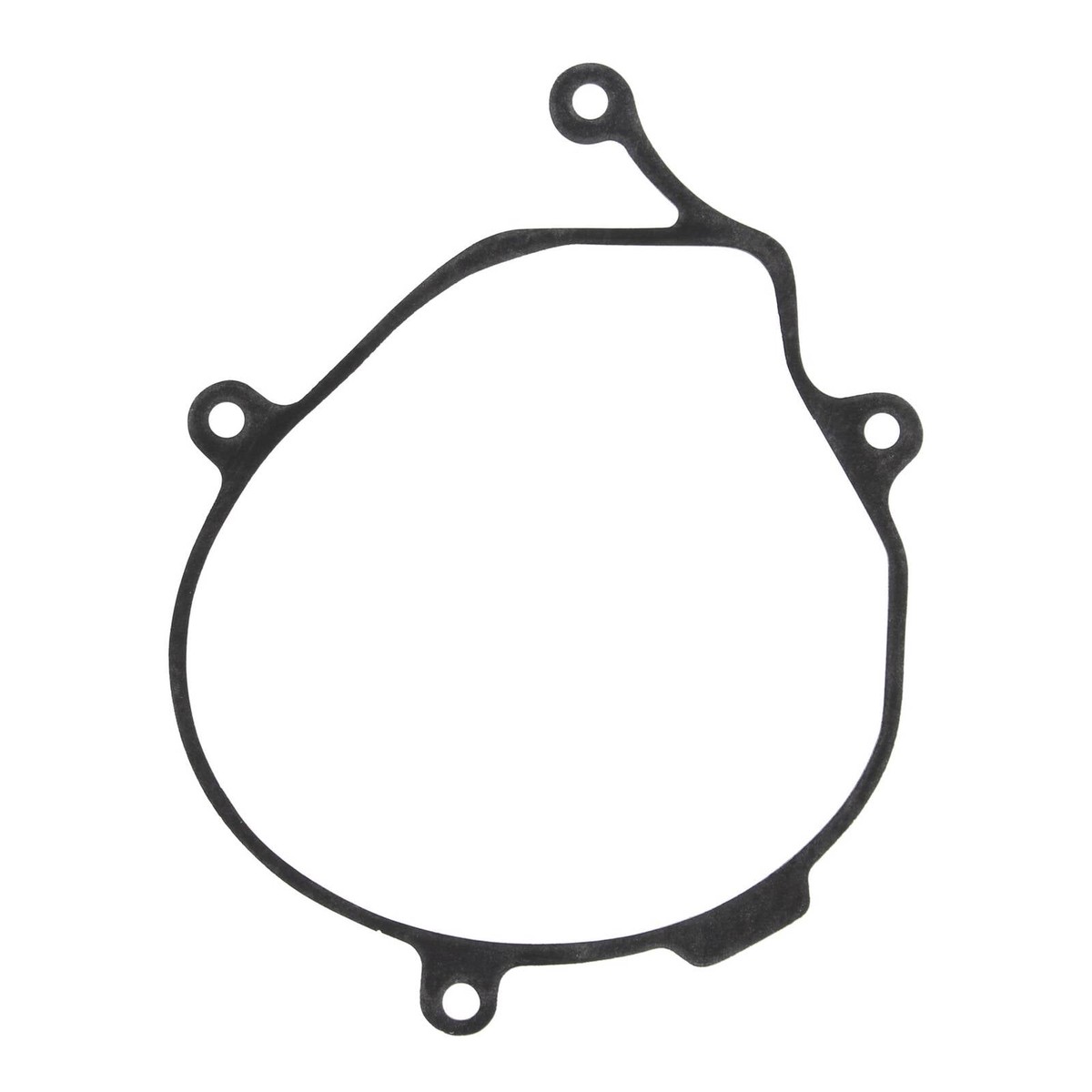 Ignition Cover Gasket Kit 817268