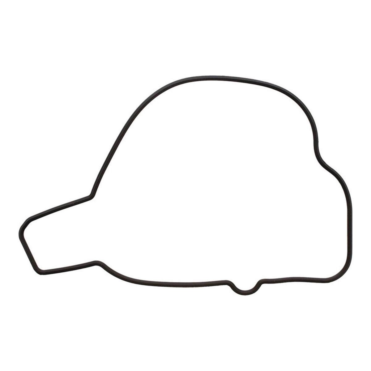 Ignition Cover Gasket Kit 819210