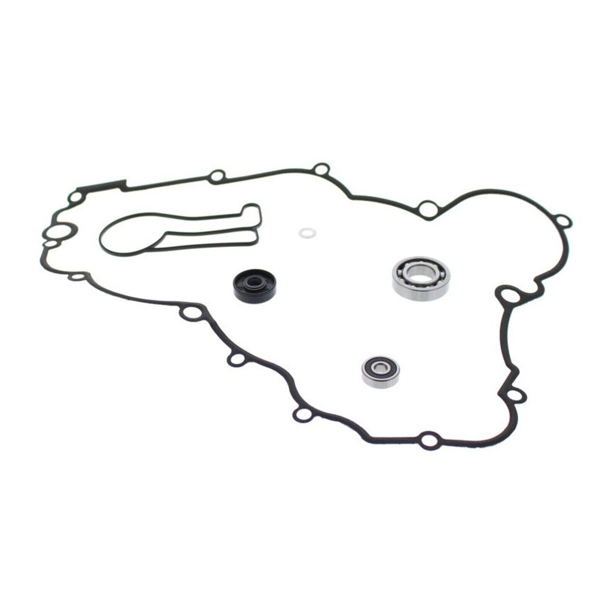 Water Pump Rebuild Kit 821976