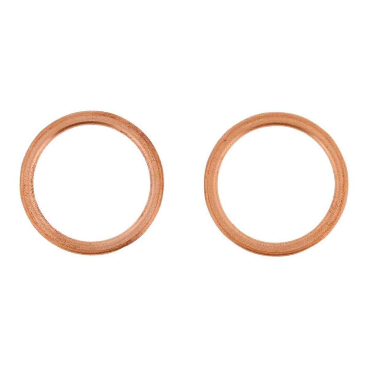 Exhaust Gasket Kit 823199